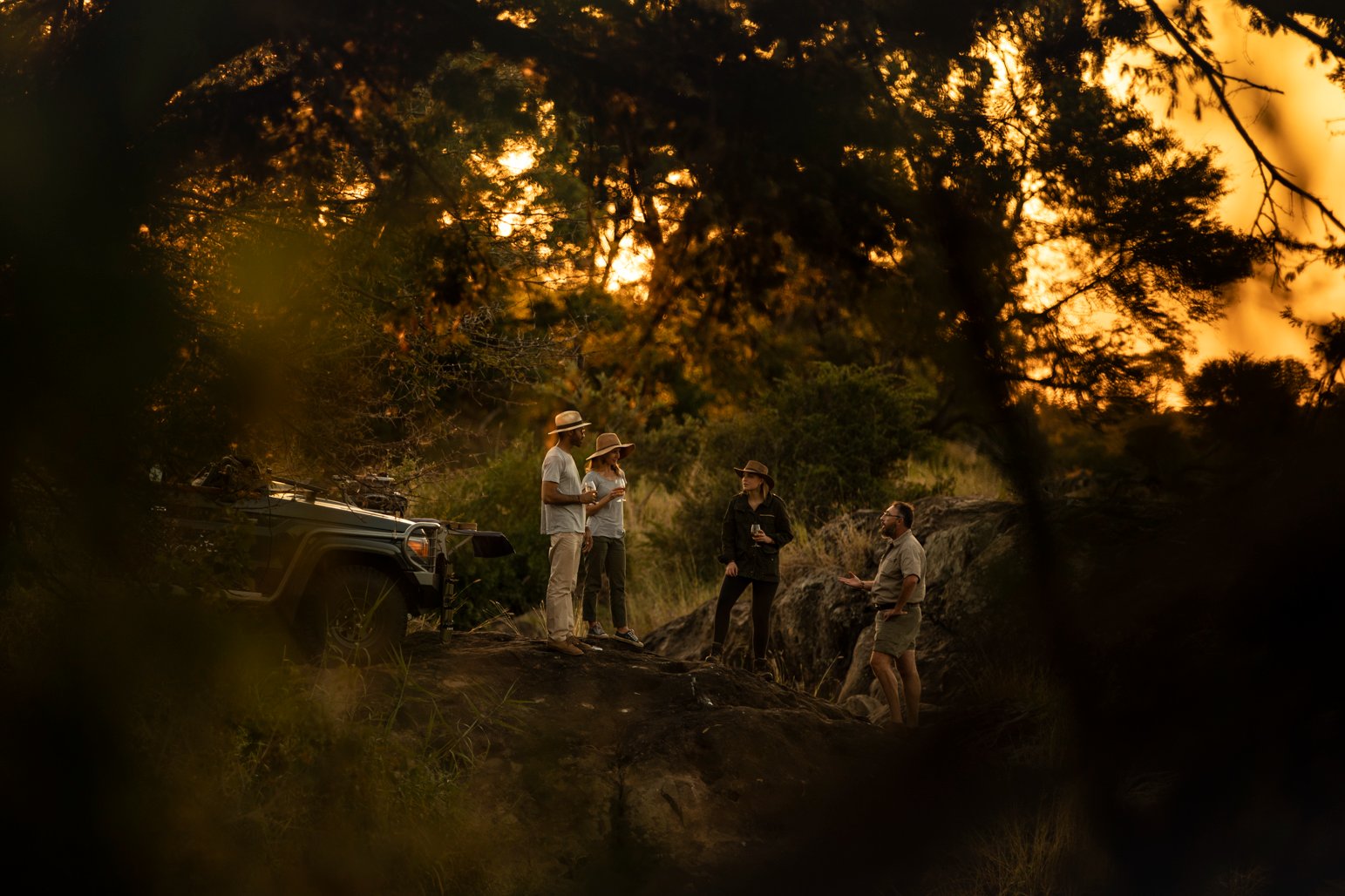 Uganda gorilla safari