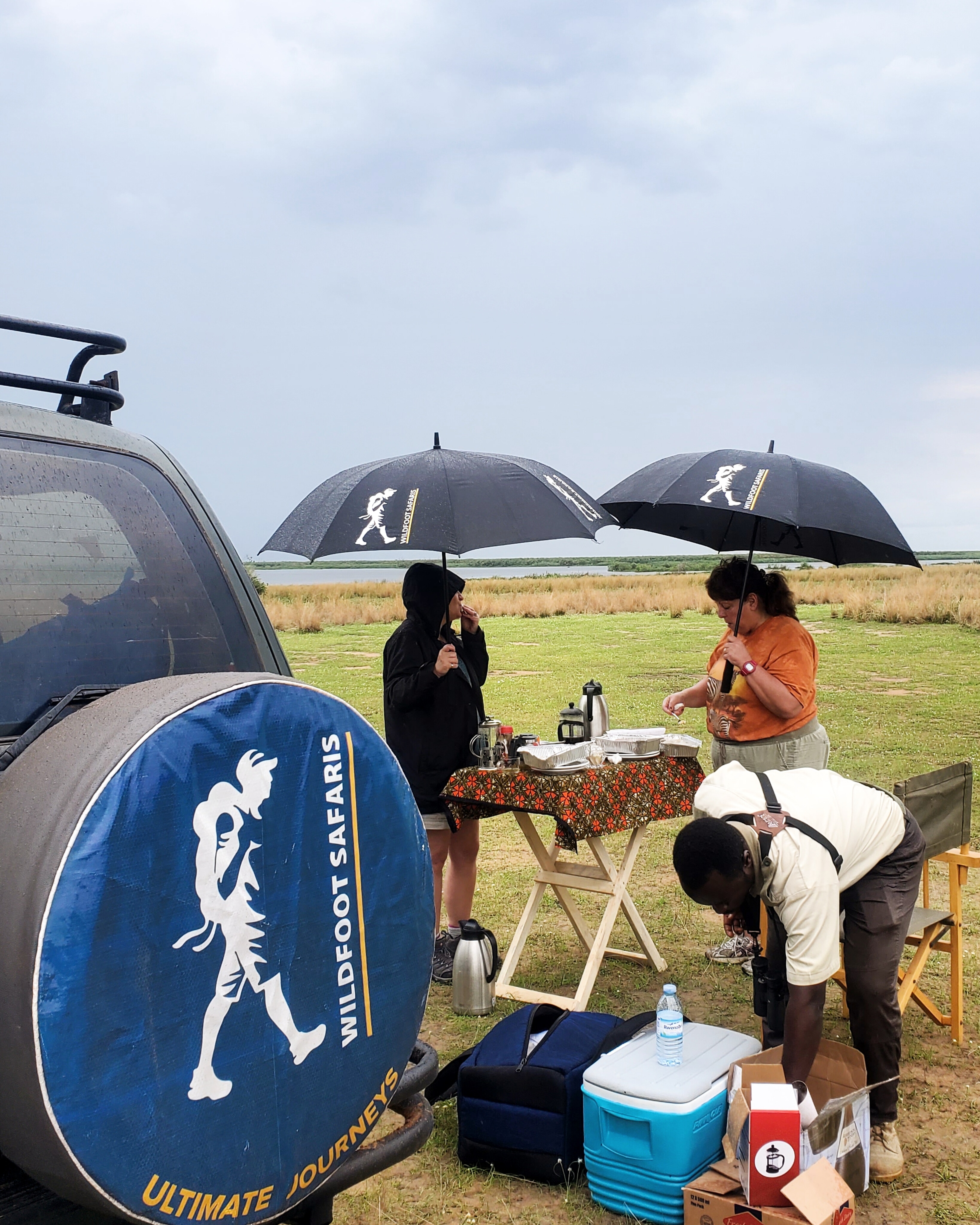 East Africa wildlife